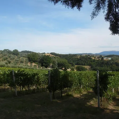 Podere Caldaruccio La Pineta * Bosco (Umbria)