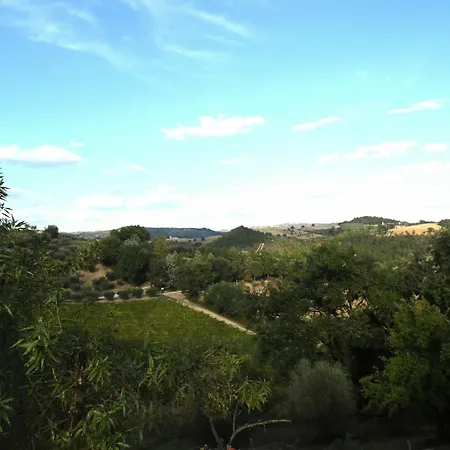 Podere Caldaruccio La Pineta Alloggio per agriturismo *