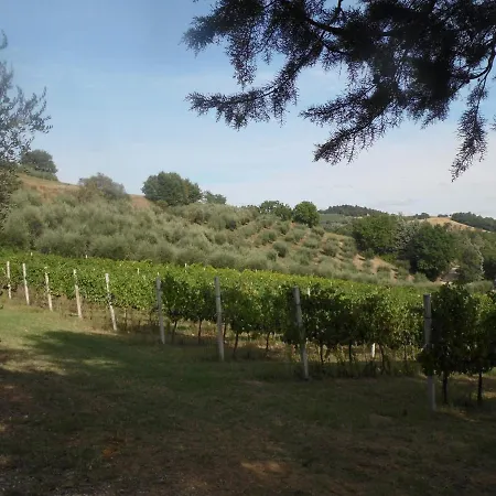 Farm stay Podere Caldaruccio La Pineta *