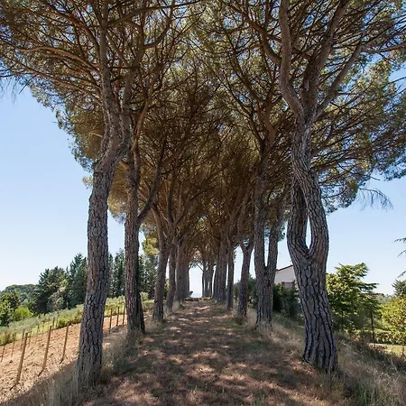 Lantgård Podere Caldaruccio La Pineta Bosco (Umbria)