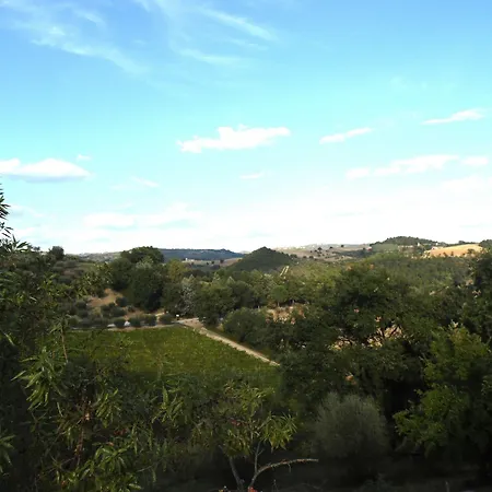 Podere Caldaruccio La Pineta Lantgård