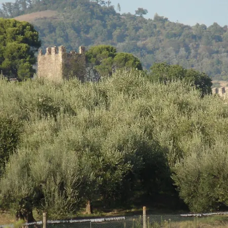 Lantgård Podere Caldaruccio La Pineta