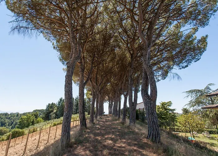 Farma Podere Caldaruccio La Pineta Bosco (Umbria)