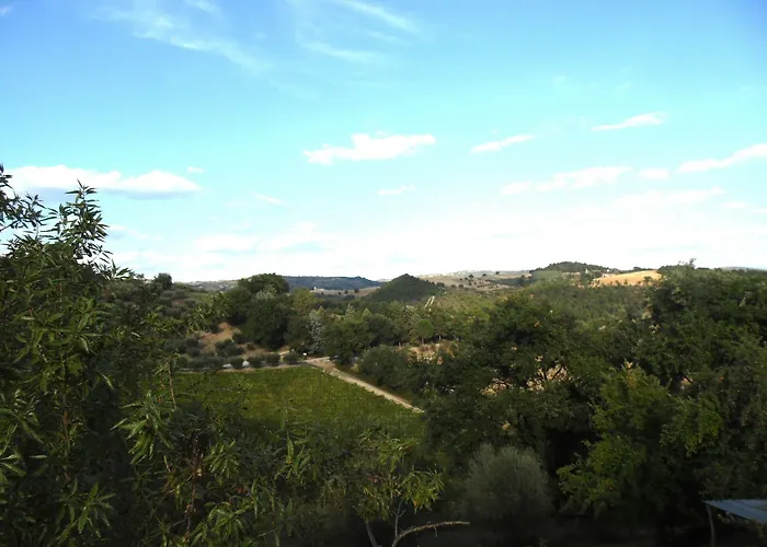 Podere Caldaruccio La Pineta Farma