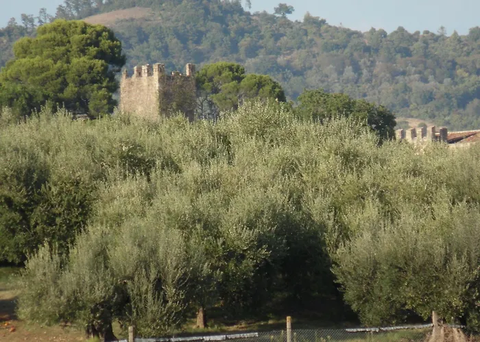 Farma Podere Caldaruccio La Pineta