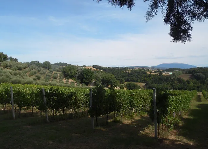 Podere Caldaruccio La Pineta