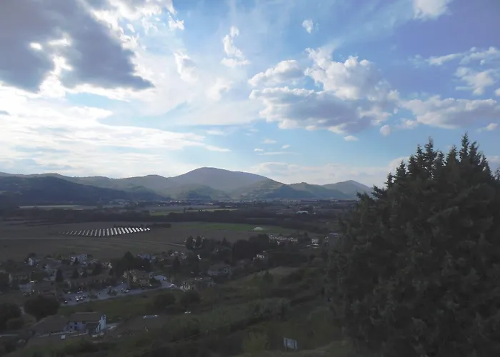 Farma Podere Caldaruccio La Pineta